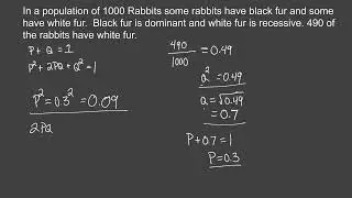 Practice Problem 2