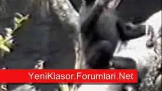 Sexs Etek Altı Lise Kizlar Porno sex