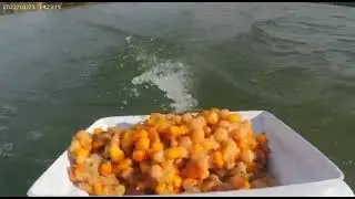 Заплыв от первого лица