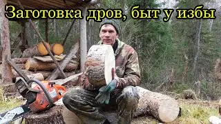 Жизнь в ТАЙГЕ. Осенние каникулы 2020  /8 серия/