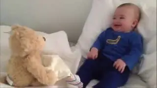 Медвежонок Пикабу Играет В Прятки