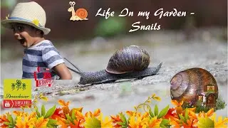 Animal Science for Kids | Snails For Kids