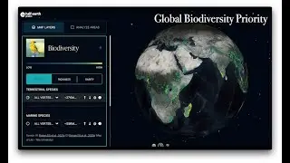Using data to influence decision making on local & global scales