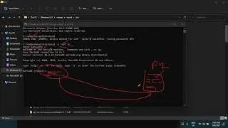 XII Interface in python with mysql