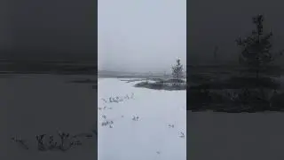 Приехали на открытие весенней охоты на водоплавающую) 8.05.2024 г..