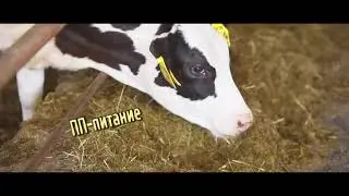 Фермерские продукты