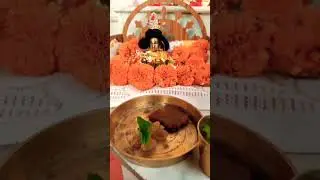 laddu gopal ji seva 🙏🏽