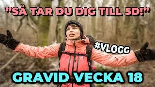 RESAN GENOM LANDET! - GRAVID VECKA 18 | VLOGG