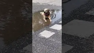 И это долгожданное лето?!