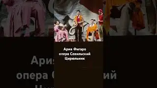 Фигаро-Илья Кутюхин. Севильский цирюльник Россини. Новая опера 23.08.24
