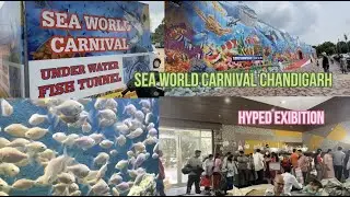 Sea World Carnival | First Underwater Tunnel | Most Hyped Exhibition Sector 34 Chandigarh