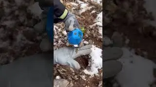 So Amazing