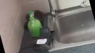Mouse Killer Trap