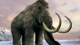 10 MOST EXTINCT ANIMALS YOU SHOULD KNOW