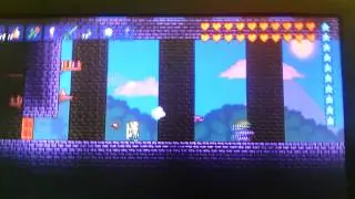 Terraria pixie bat bug thing (strong language)