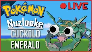 Nuzlocking a Pokemon Emerald Romhack with a Very Silly Name