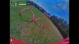 Race