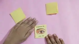 Sense organs project work || Project on sense organs || sense organs project with their functions