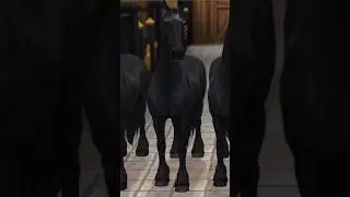 New Friesian VS Reality Star Stable | SSO TikTok #sso #friesian