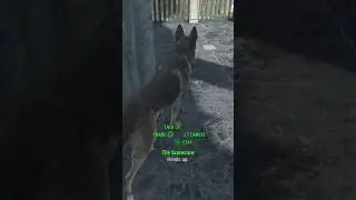 How you doing buddy?#fallout #gaming #funny #glitch