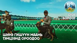 Эрхлээд л хэвтэж байдын, Элдэвтэй амьтан байж 🐕