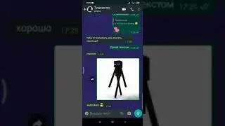 ЛП отгадывает мобов и вещи из Майна (часть 1 - 🤷🏻‍♀️)
