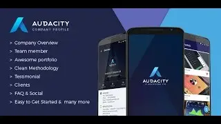Audacity - Company Profile