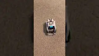 Cozmo sings the Happy Birthday Song!