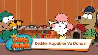 Köpekler Kediler Ve Dahası - @KralSakirResmi