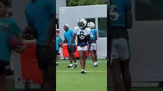 Dionte Johnson vs Jaycee Horn is One of the Best 1v1s During Panthers Training Camp #nfl #football