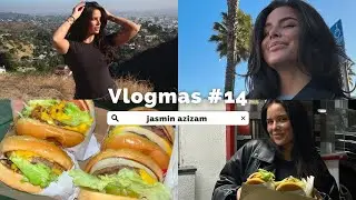 Vlogmas #14: Angekommen in Los Angeles! (ohne Koffer 🥲) - Jasmin Azizam