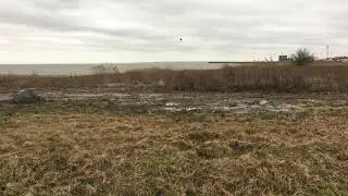 2020.01.15 13:05:50 Остров Сааремаа. Роомасааре.
