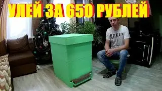 DIY hive for 650r from EPS