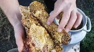 The Internet-Winning Mead Recipe (Part 2)