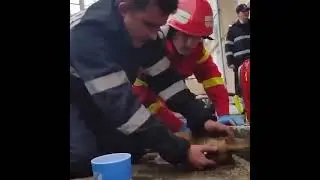 firefighter performs cpr on a dog that inhaled