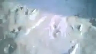 Вольный борец Армян
