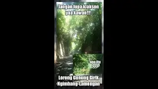 Jangan lupa klakson saat masuk " Lorong Gunung Girik " #shorts