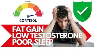 REDUCE CORTISOL in 30 DAYS with These 7 Simple Hacks #cortisol #testosterone #stressrelief #hormones