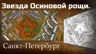 Звезда Осиновой рощи. Санкт-Петербург.
