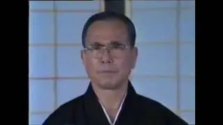 Hontai Yōshin-ryū 本體楊心流 JuJutsu, Iaijutsu, kenjutsu, wakizashi, jo, hanbo, bo
