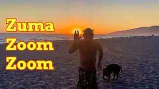 Zuma Zoom Zoom