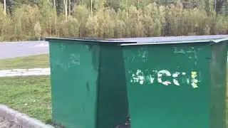 Запасливая лиса