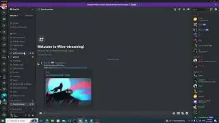 Discord Bot Blue Eye, Set Twitch Nortifications