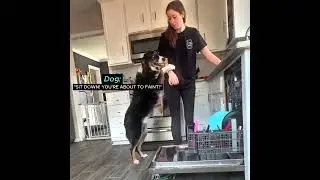 She has the best helper in the world 🥹 