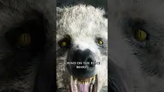 What are the Rune Bears in Elden Ring? | Lore Shorts