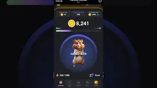 Combo of the day HAMSTER KOMBAT