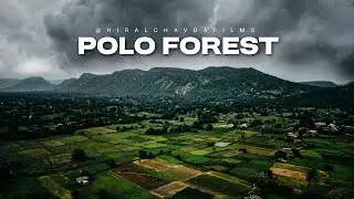 Polo Forest 💚 Cinematic Visuals 🍃| Canon 200d mark 2.