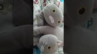 а музыку я у брата взял