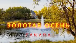 Осень в Канаде / Увидели диких зверей