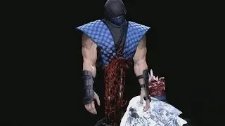 Mortal Kombat 9 Komplete Edition - All Fatalities With Invisible Fighter *PC Mod* (HD)